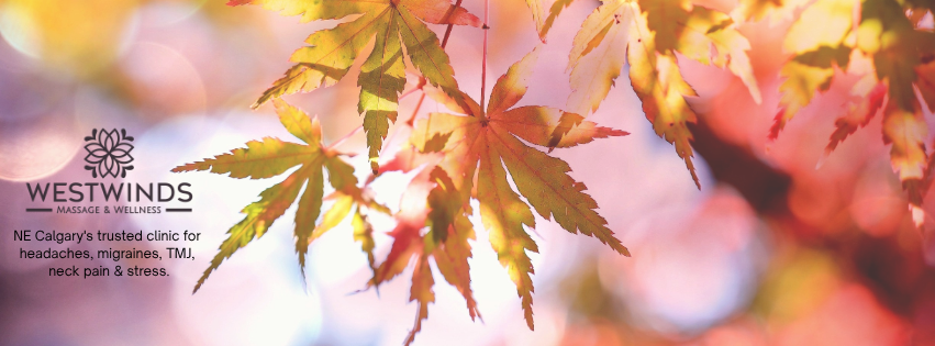 Fall Updates at Westwinds Massage & Wellness
